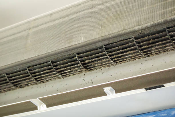 Best Professional Duct Cleaning Services  in East Brewton, AL